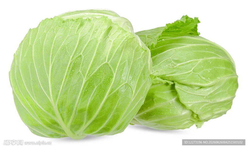 新鲜圆白菜