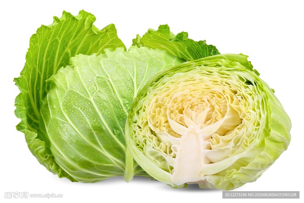 新鲜卷心菜 