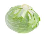 新鲜圆白菜