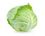 新鲜圆白菜
