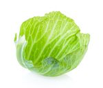 新鲜圆白菜