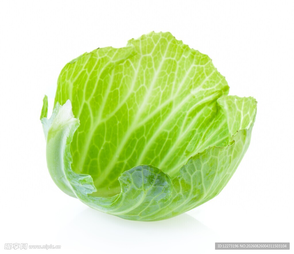 新鲜圆白菜