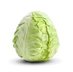 新鲜圆白菜