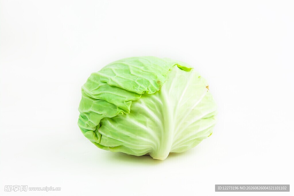 一颗新鲜的圆白菜