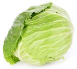 新鲜圆白菜