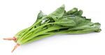 新鲜菠菜