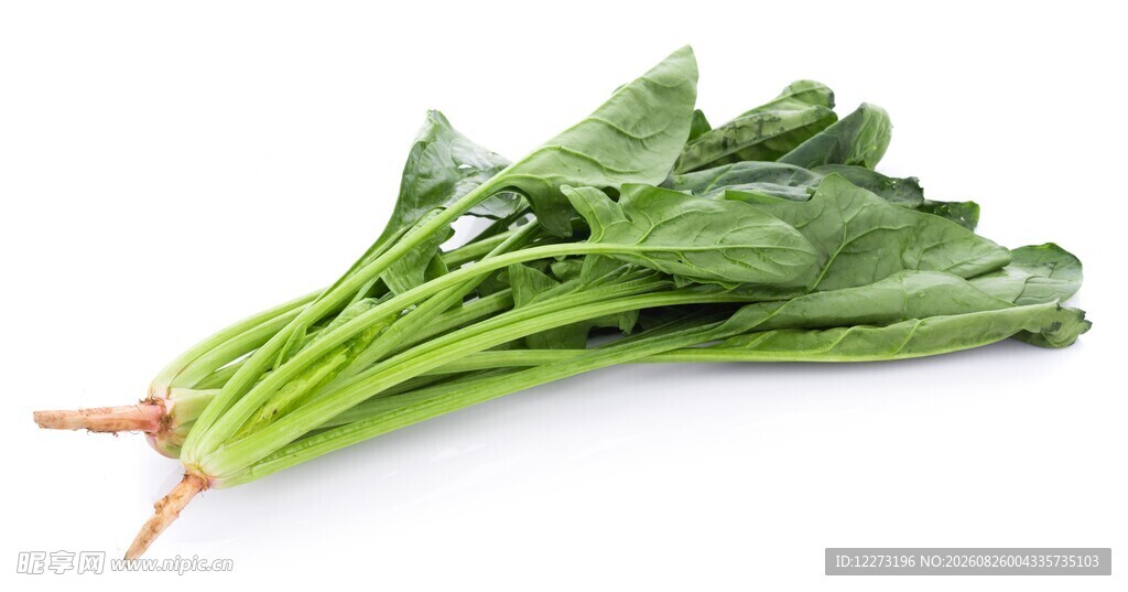 新鲜菠菜