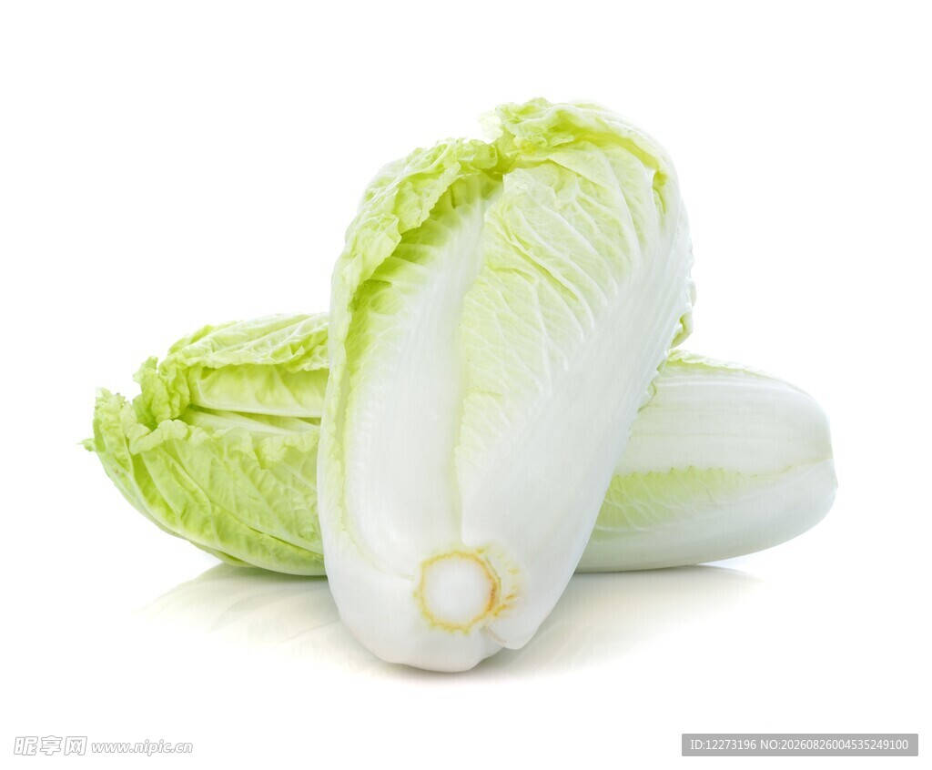 新鲜嫩白菜