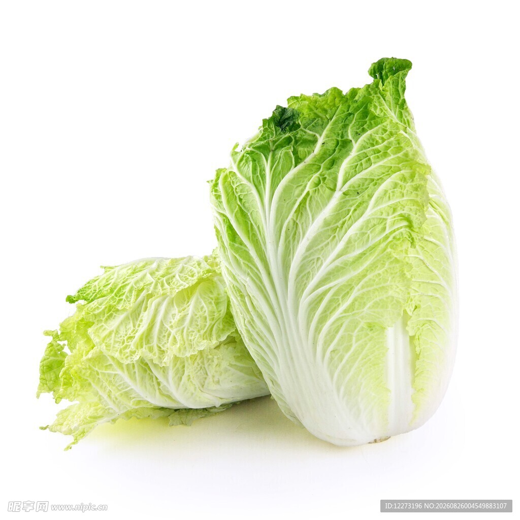 两颗新鲜大白菜