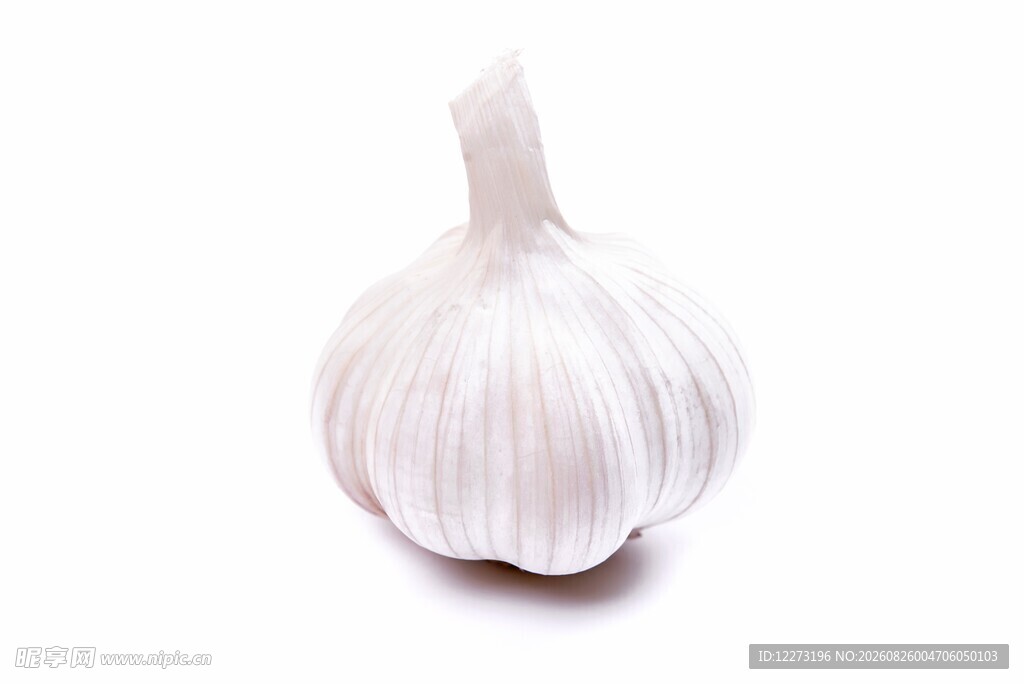 一颗饱满的新鲜大蒜