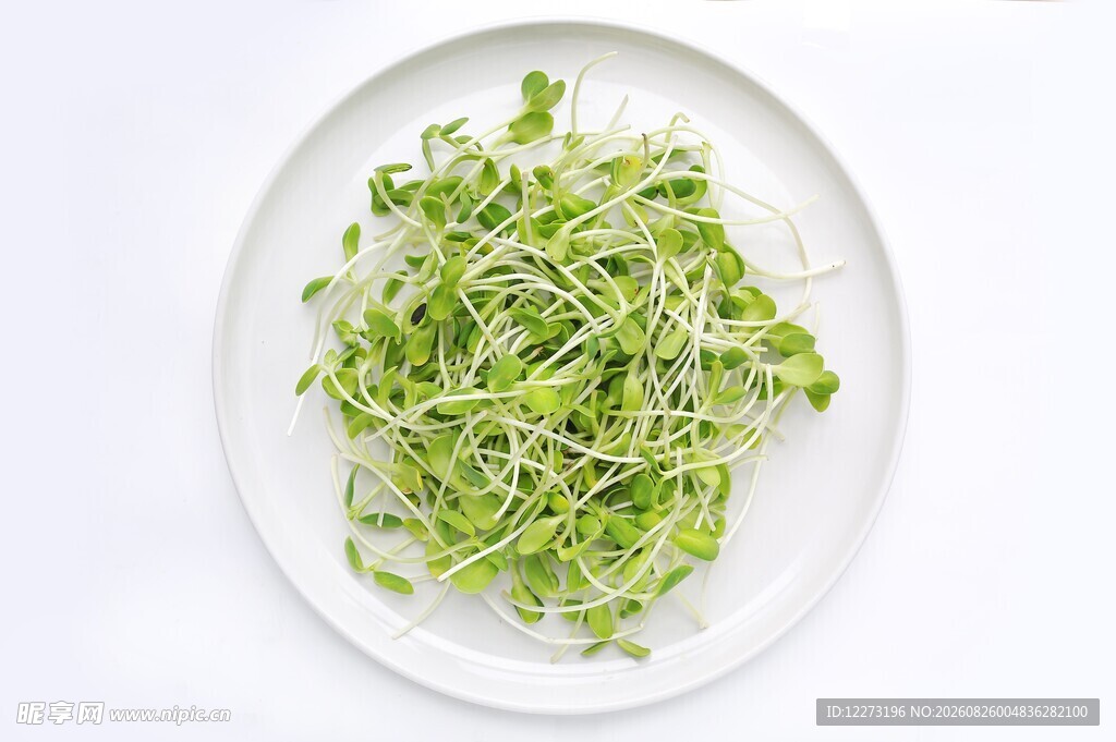 盘中鲜嫩豆芽菜