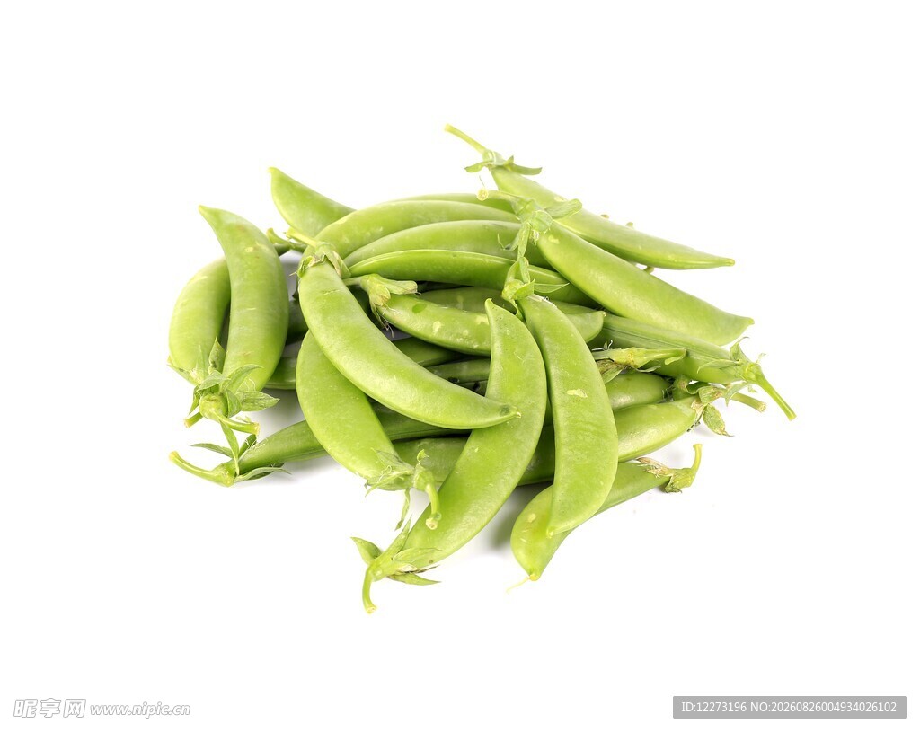 新鲜翠绿荷兰豆