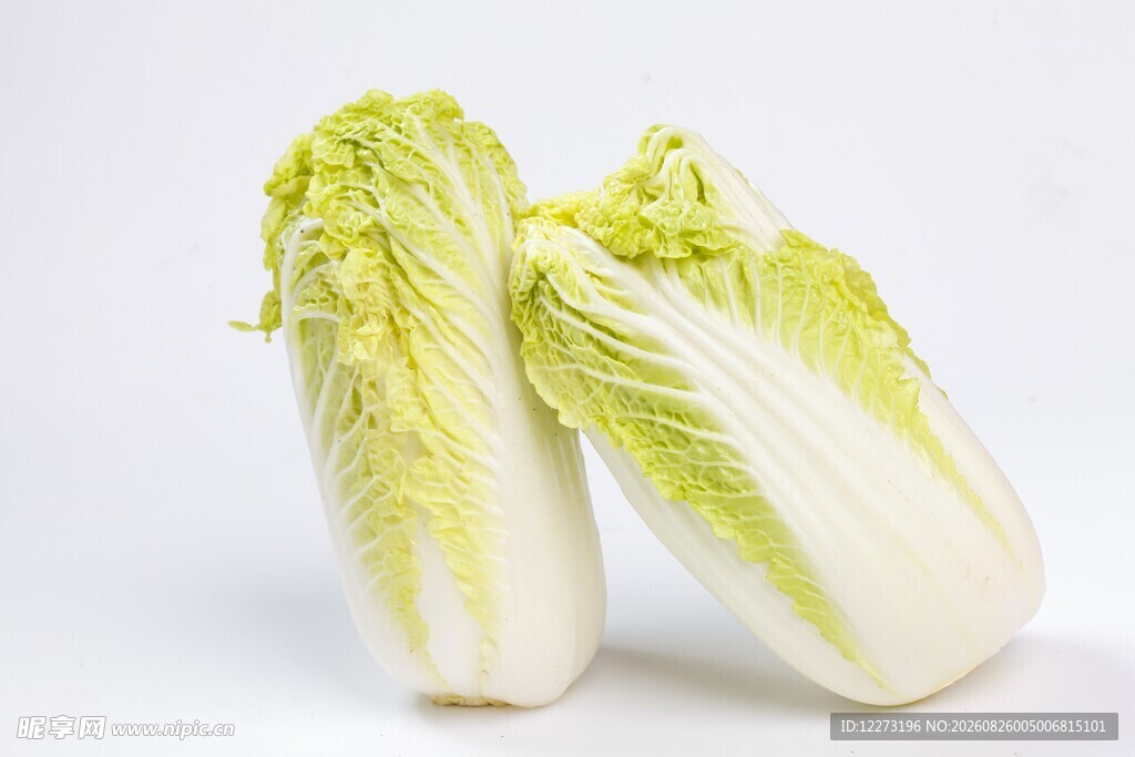 两颗鲜嫩小白菜