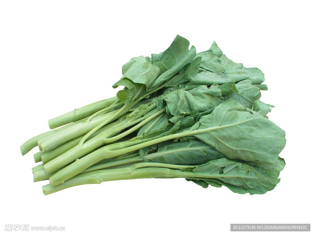 新鲜青菜