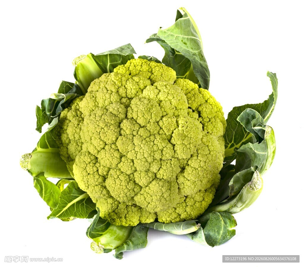 新鲜花椰菜 