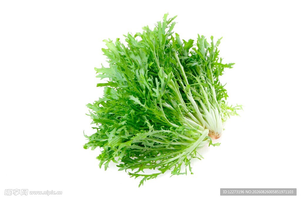 新鲜茼蒿蔬菜