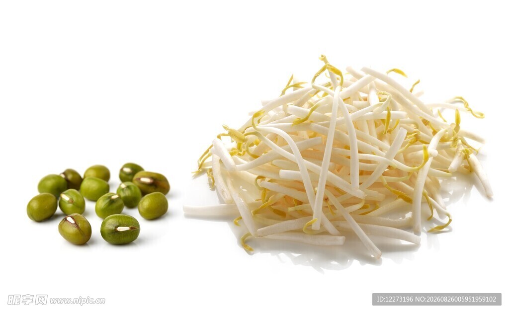 绿豆与豆芽