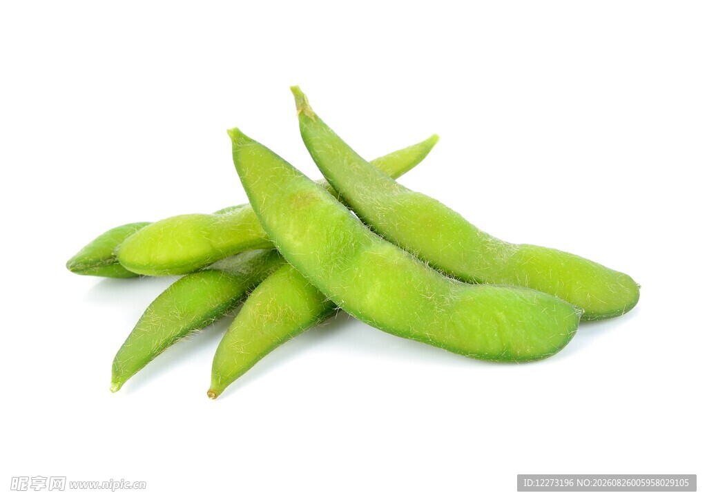 新鲜翠绿的带荚毛豆
