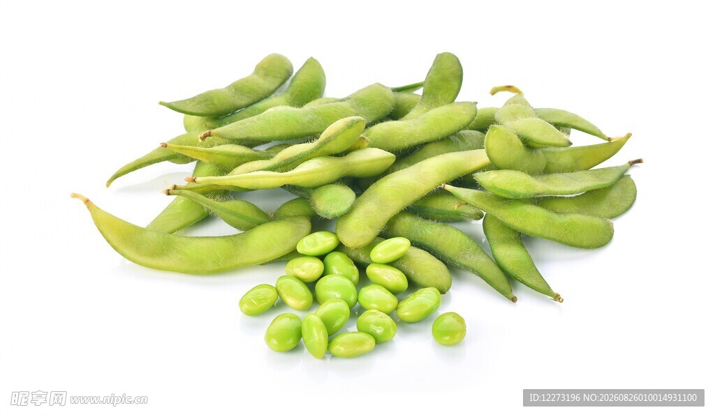 新鲜毛豆荚与毛豆粒