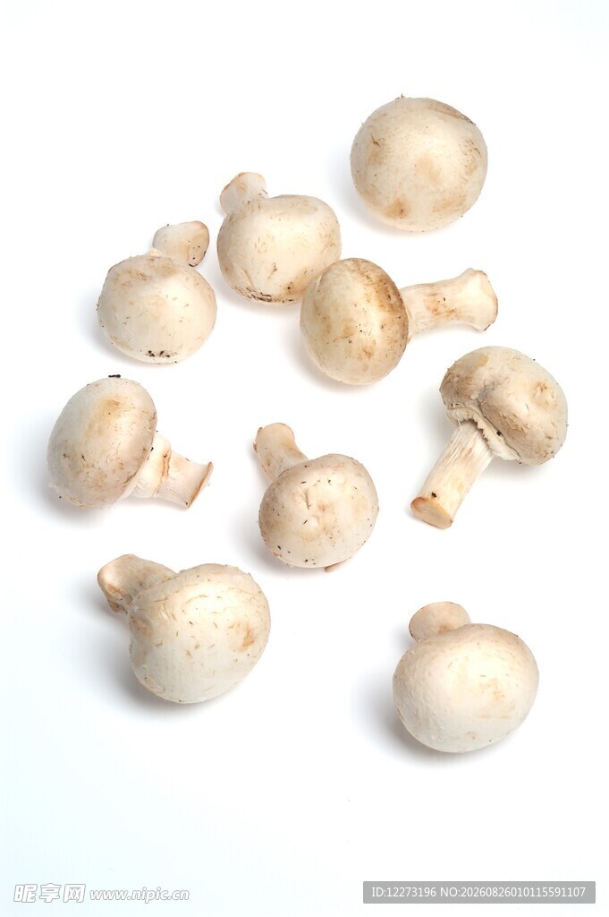 新鲜白蘑菇特写