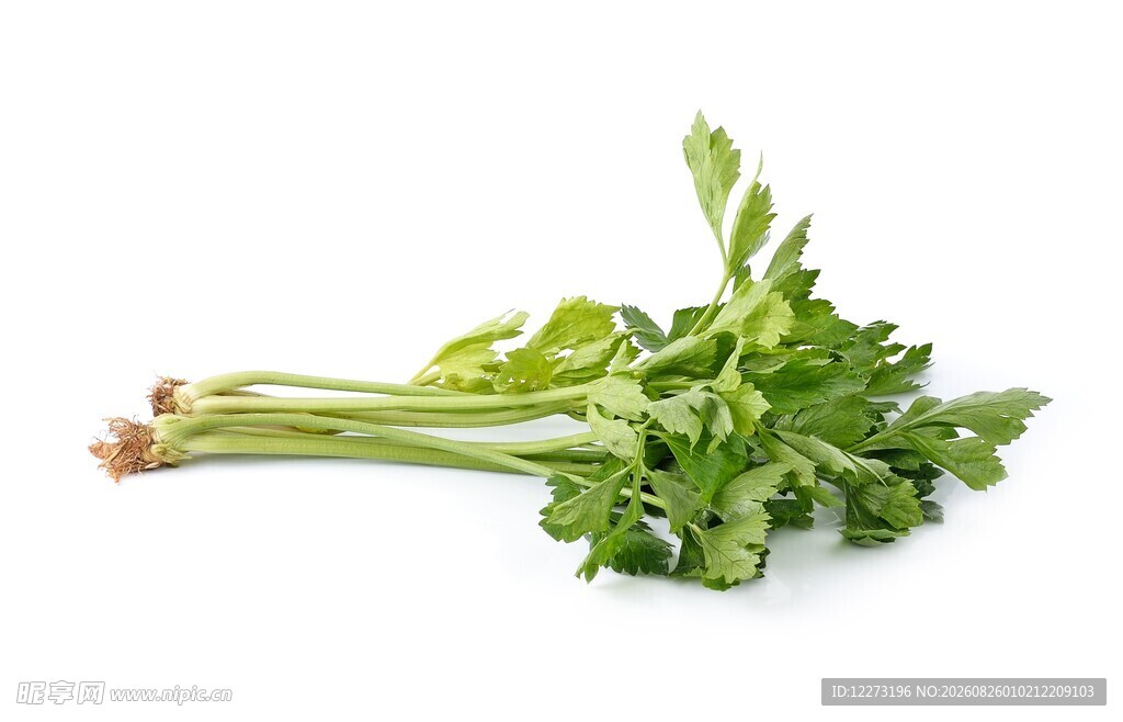新鲜翠绿芹菜