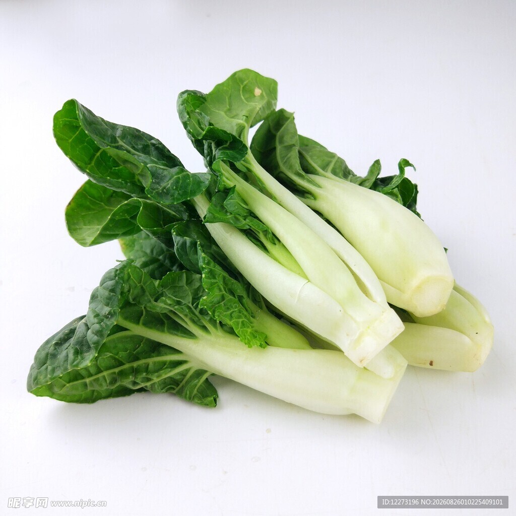 新鲜小白菜