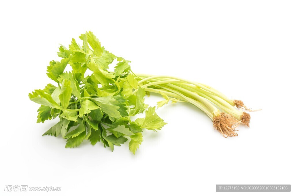 新鲜翠绿芹菜