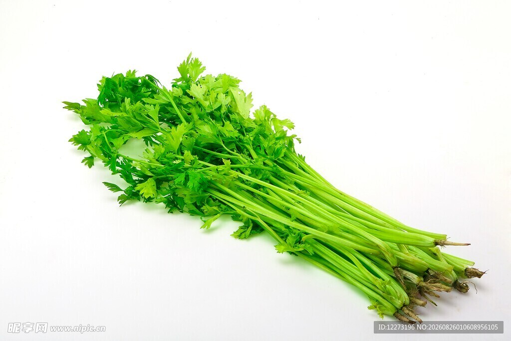 新鲜翠绿的芹菜一束