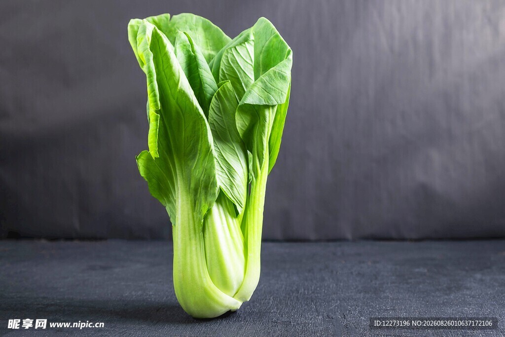 一颗鲜嫩的小白菜