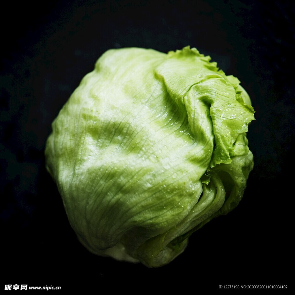 新鲜圆生菜