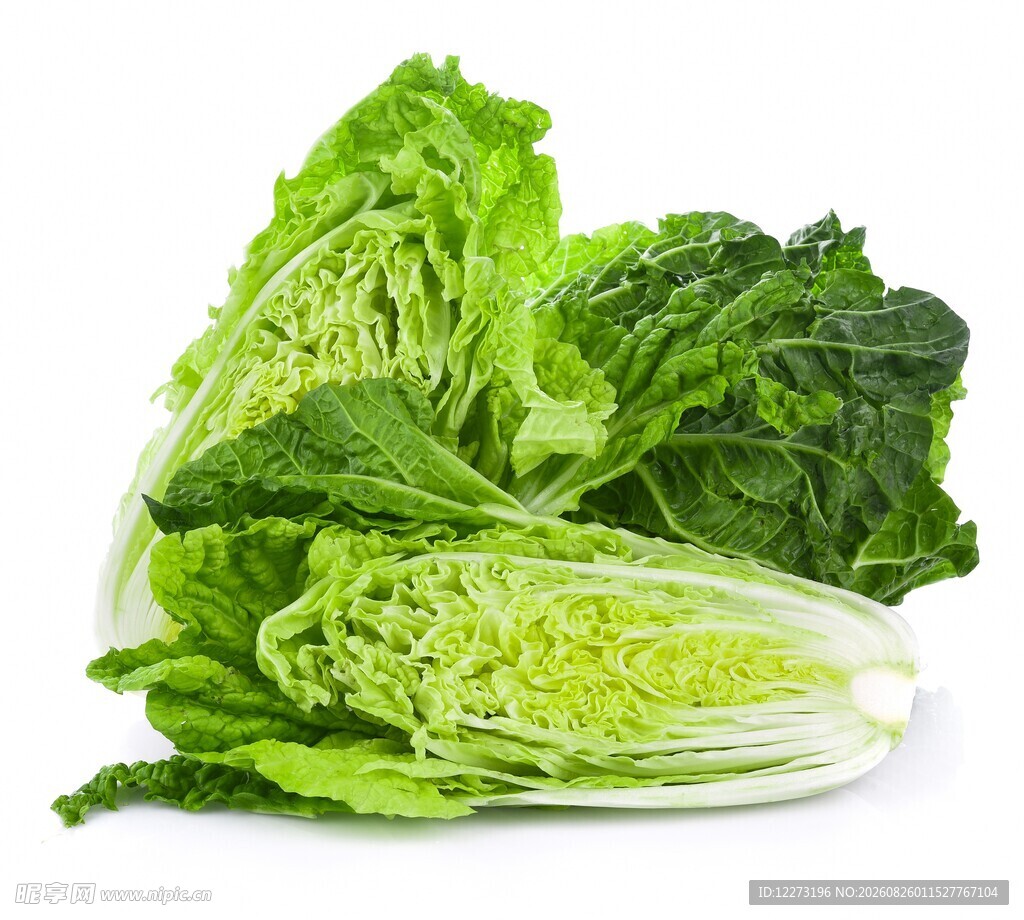 新鲜大白菜