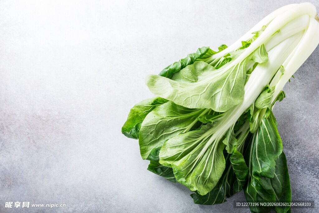 新鲜小白菜摆放在灰色背景