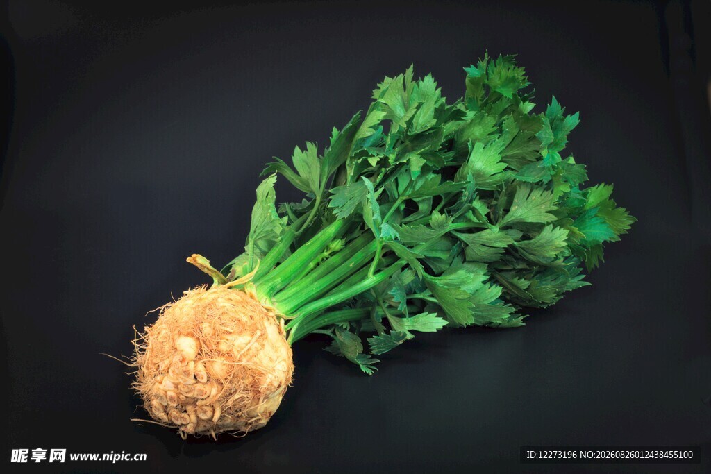 新鲜根茎欧芹