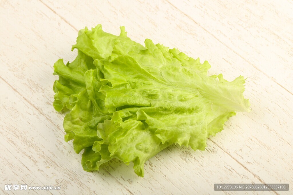 新鲜生菜叶片特写