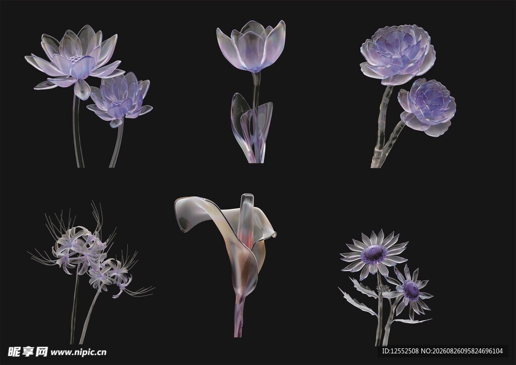 紫色花卉特写集合