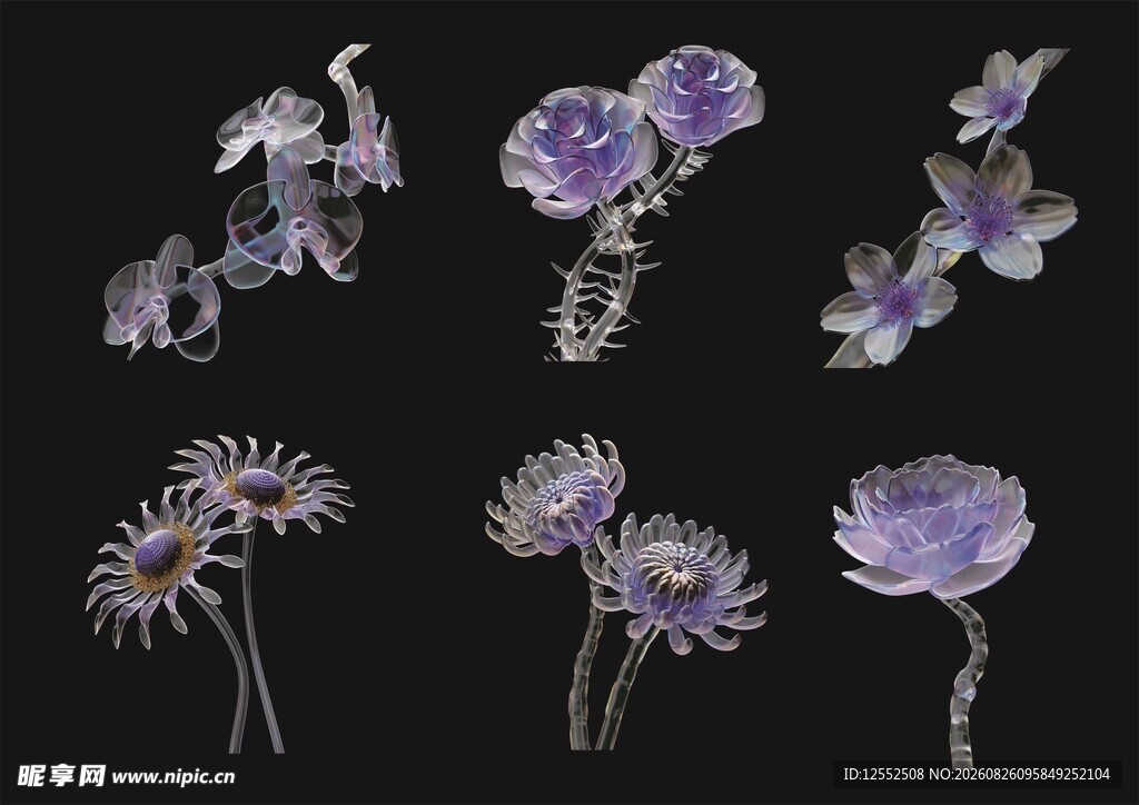紫色花卉素材集合