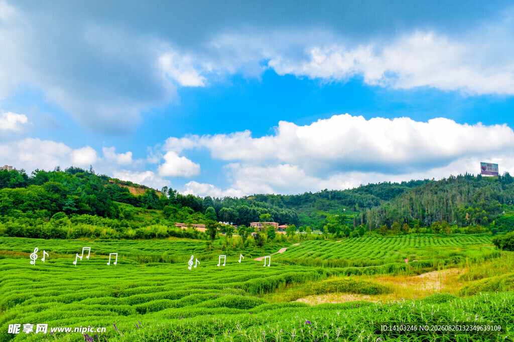 田园绿野风光美景