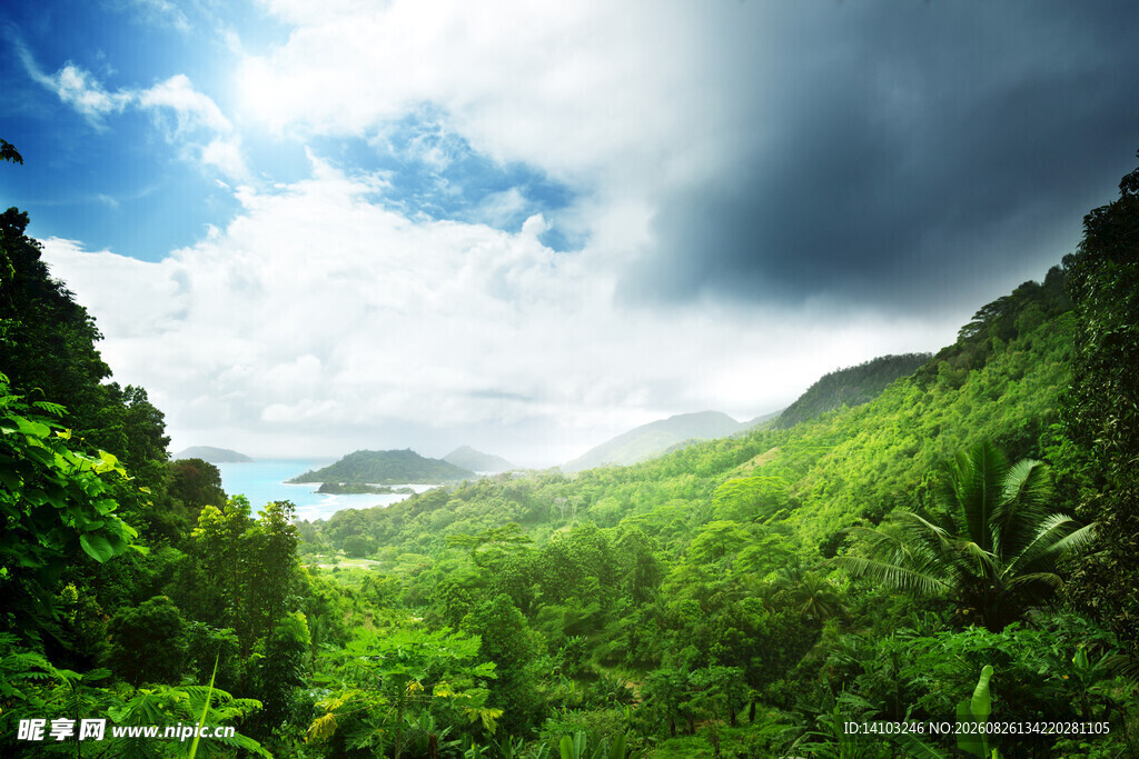 翠绿山谷中的自然美景