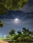 夜空