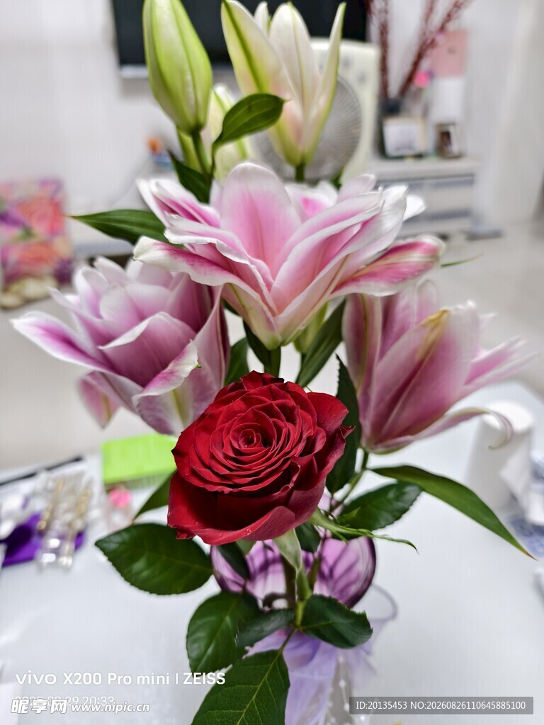 百合