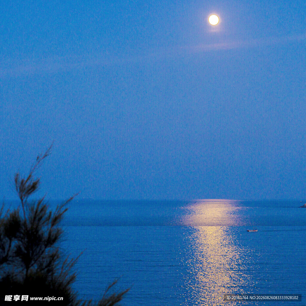 海上明月夜