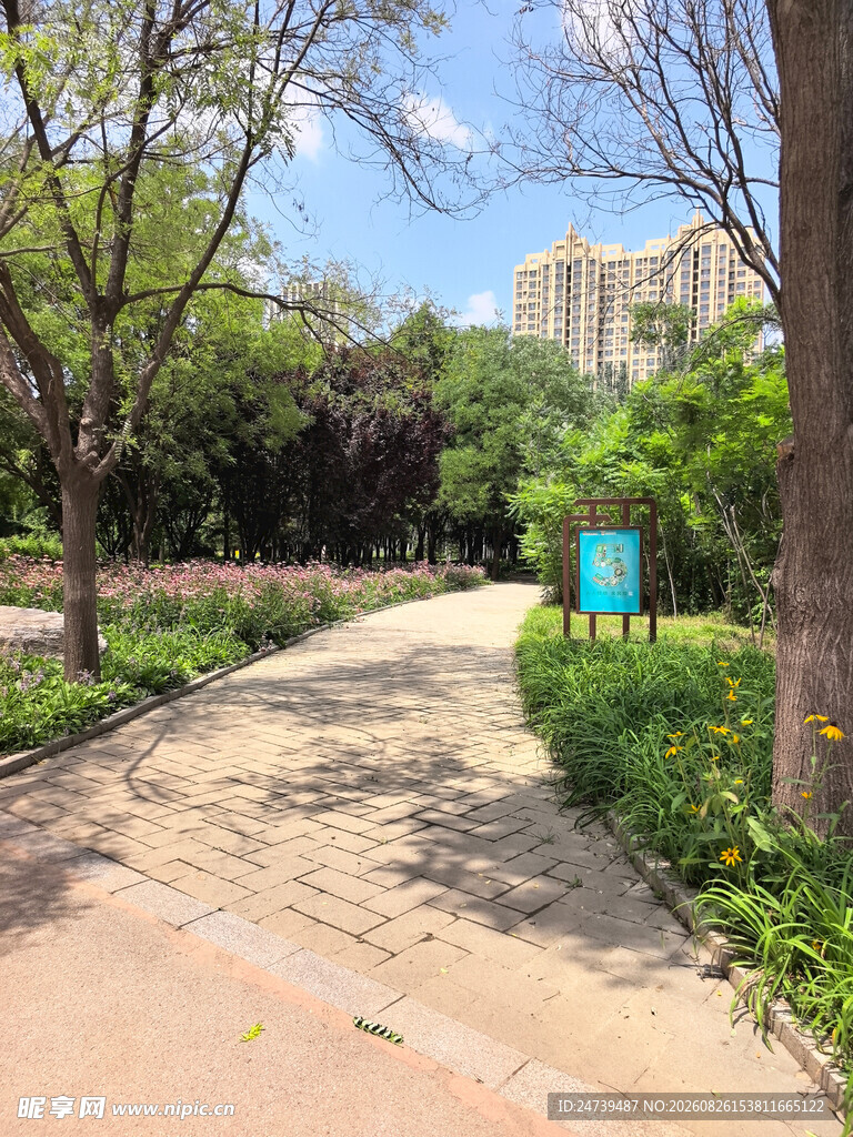 城市公园中的幽静小径