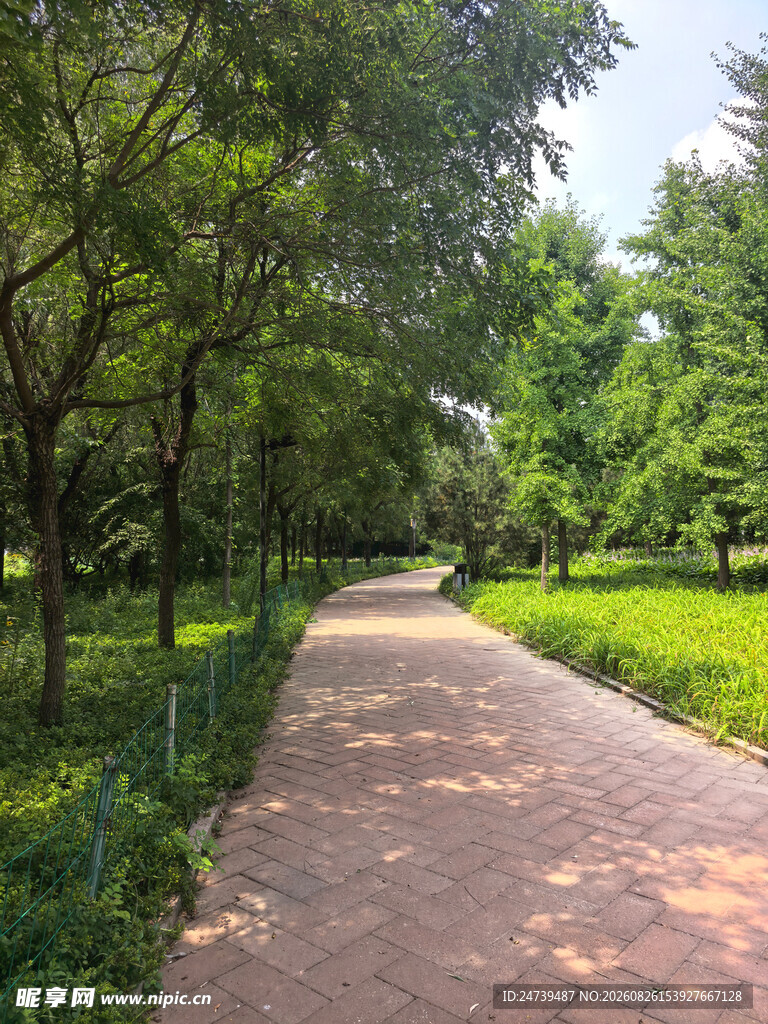 林间漫步道