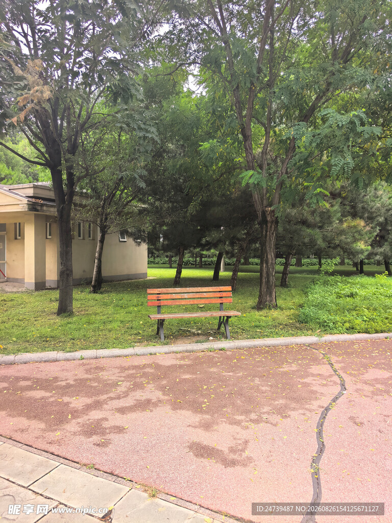 公园休闲场景中的长椅