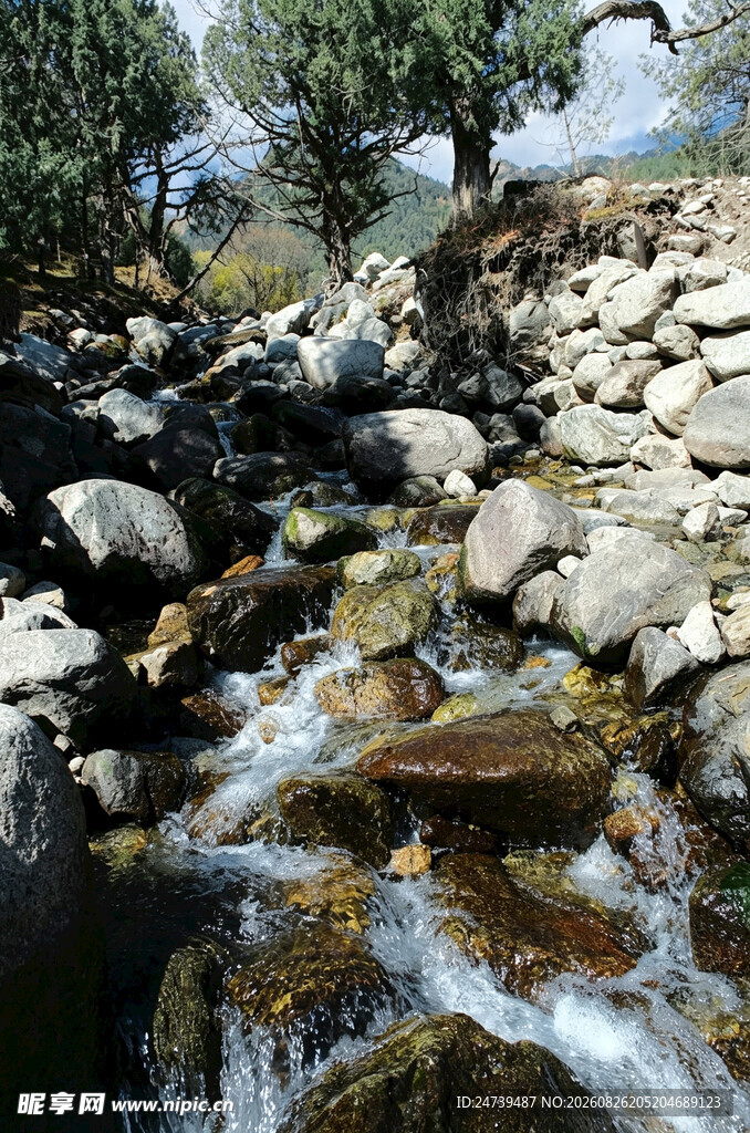 山间溪流潺潺