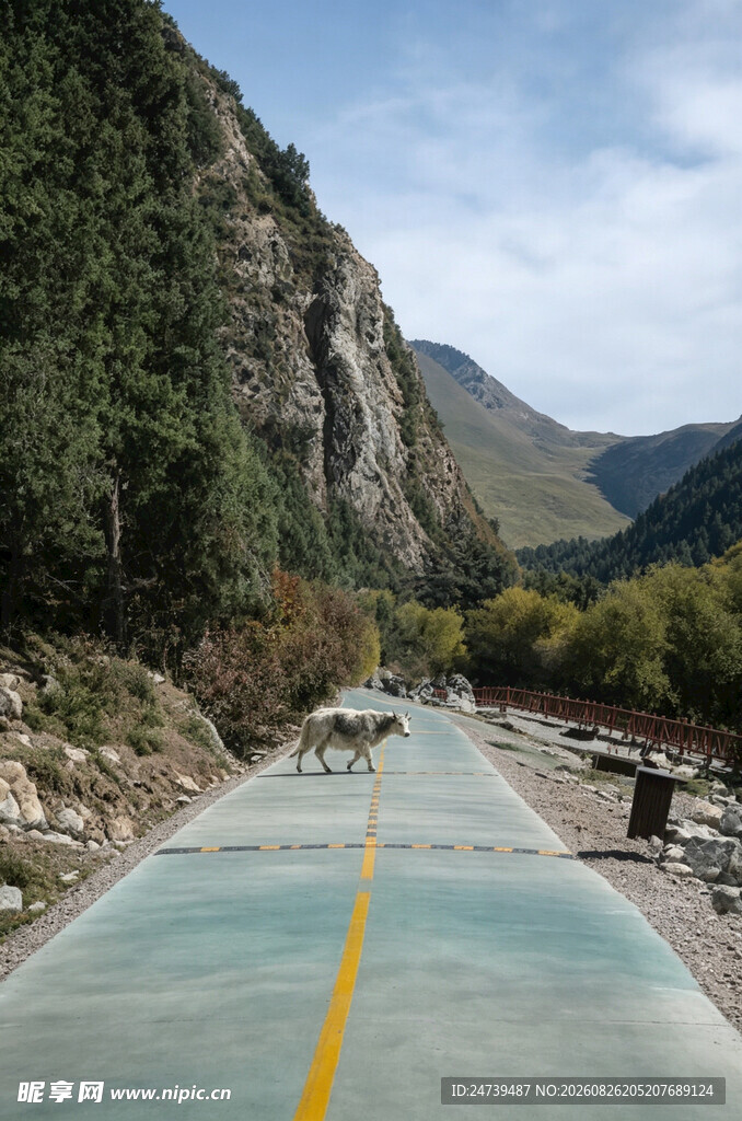 山间公路美景
