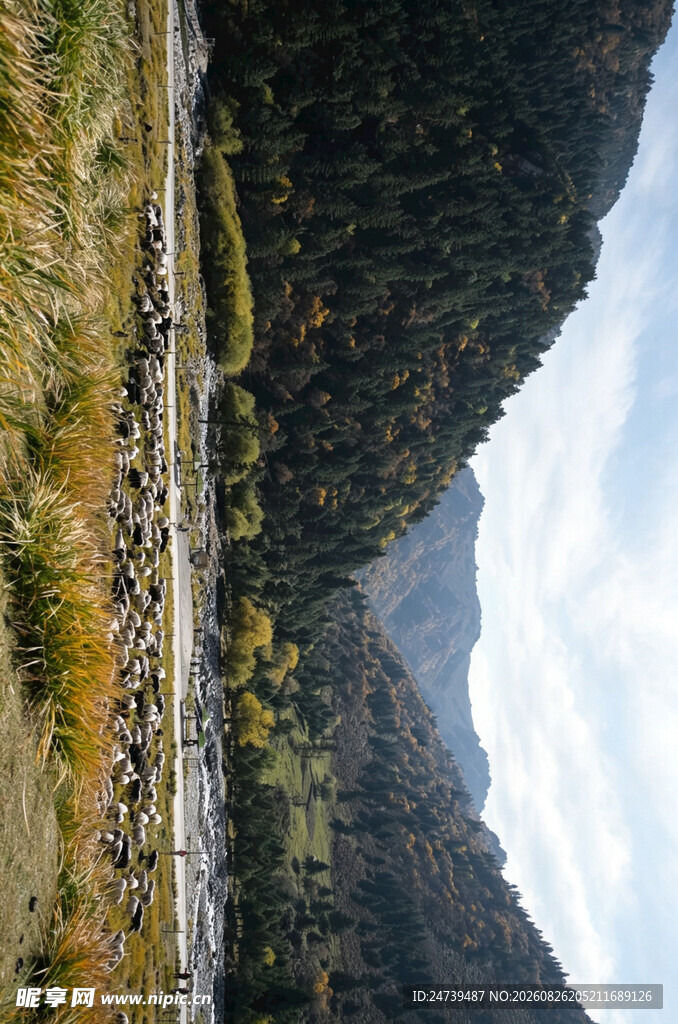 山间河谷美景