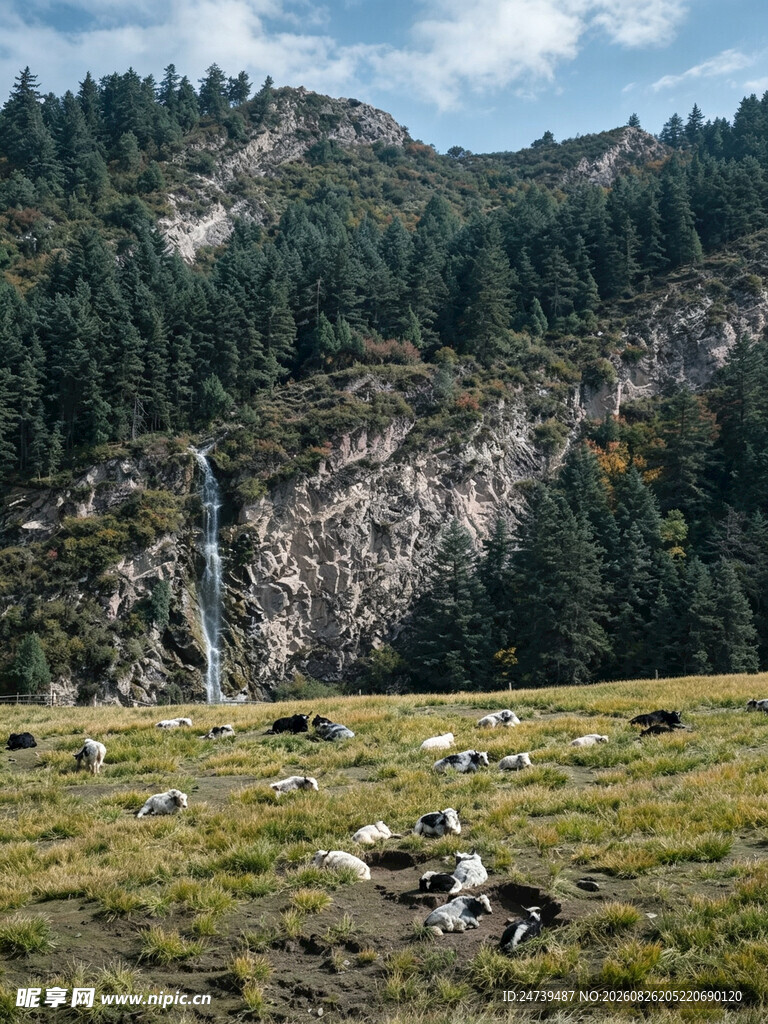 山间草地与远处瀑布景观