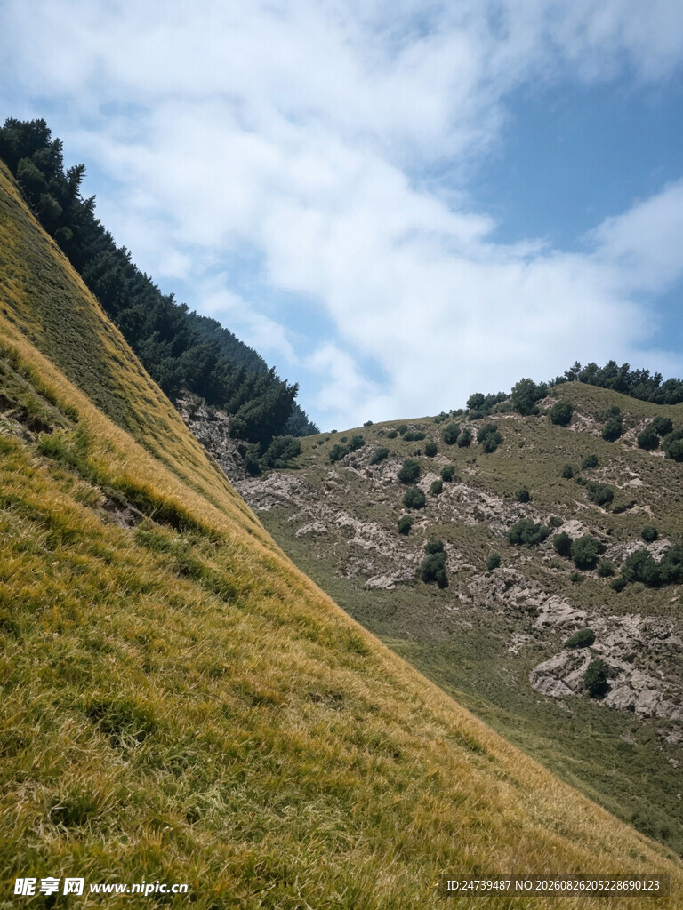 山间草地美景