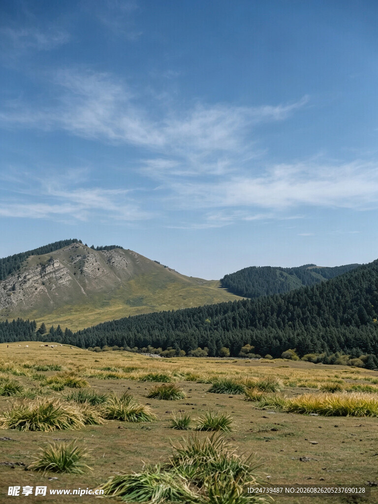 草原山峦间的壮美风光